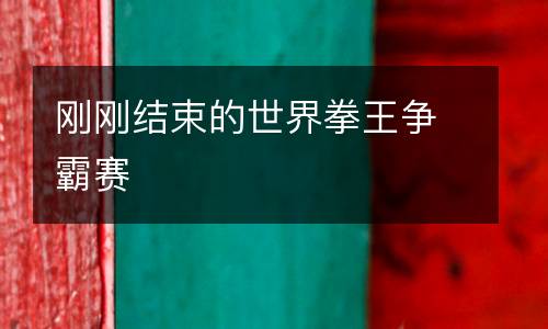 剛剛結束的世界拳王爭霸賽