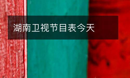 湖南衛視節目表今天