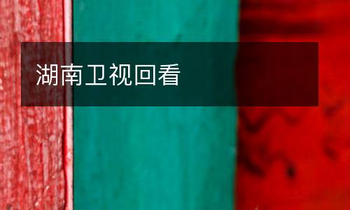 湖南衛視回看